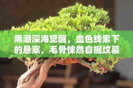 黑潮深海觉醒,血色线索下的悬案,毛骨悚然自掘坟墓 黑潮深海觉醒,血色线索下的悬案,毛骨悚然自掘坟墓