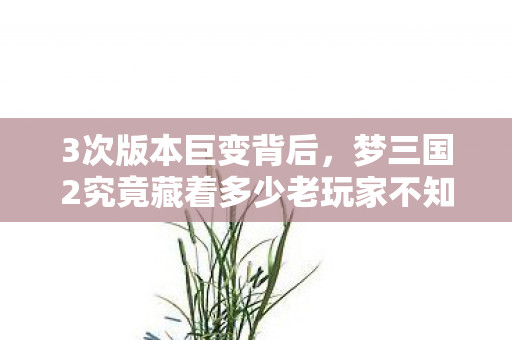 3次版本巨变背后,梦三国2究竟藏着多少老玩家不知道的秘密? 3次版本巨变背后,梦三国2究竟藏着多少老玩家不知道的秘密?