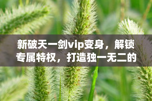 新破天一剑vip变身，解锁专属特权，打造独一无二的角色，新破天一剑VIP变身解锁特权，打造独一无二角色
