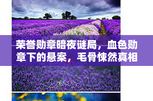 荣誉勋章暗夜谜局,血色勋章下的悬案,毛骨悚然真相待揭 荣誉勋章暗夜谜局,血色勋章下的悬案,毛骨悚然真相待揭