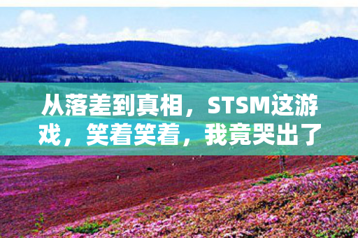 从落差到真相,STSM这游戏,笑着笑着,我竟哭出了声 从落差到真相,STSM这游戏,笑着笑着,我竟哭出了声