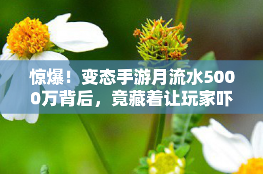 惊爆！变态手游月流水5000万背后，竟藏着让玩家吓一跳的隐情！