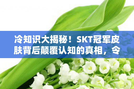 冷知识大揭秘！SKT冠军皮肤背后颠覆认知的真相，令人目瞪口呆！