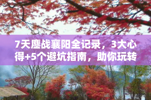 7天鏖战襄阳全记录,3大心得+5个避坑指南,助你玩转古城! 7天鏖战襄阳全记录,3大心得+5个避坑指南,助你玩转古城!