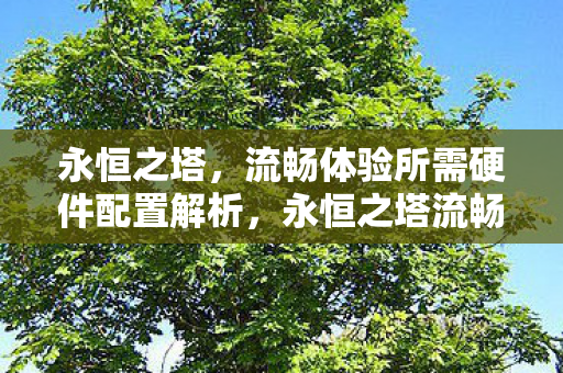 永恒之塔,流畅体验所需硬件配置解析,永恒之塔流畅体验必备硬件解析 永恒之塔,流畅体验所需硬件配置解析,永恒之塔流畅体验必备硬件解析
