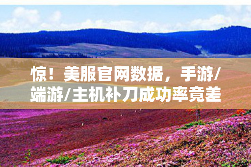 惊!美服官网数据,手游/端游/主机补刀成功率竟差47%!你站哪边? 惊!美服官网数据,手游/端游/主机补刀成功率竟差47%!你站哪边?