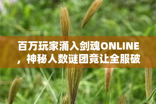 百万玩家涌入剑魂ONLINE,神秘人数谜团竟让全服破防! 百万玩家涌入剑魂ONLINE,神秘人数谜团竟让全服破防!