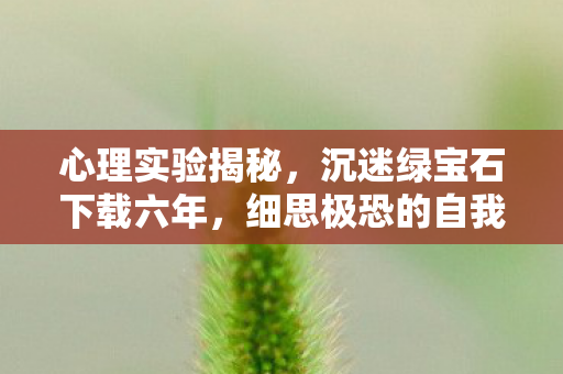 心理实验揭秘,沉迷绿宝石下载六年,细思极恐的自我麻醉真相 心理实验揭秘,沉迷绿宝石下载六年,细思极恐的自我麻醉真相