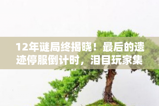 12年谜局终揭晓!最后的遗迹停服倒计时,泪目玩家集体默哀 12年谜局终揭晓!最后的遗迹停服倒计时,泪目玩家集体默哀