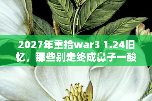 2027年重拾war3 1.24旧忆,那些别走终成鼻子一酸的伏笔 2027年重拾war3 1.24旧忆,那些别走终成鼻子一酸的伏笔