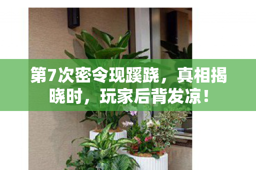 第7次密令现蹊跷,真相揭晓时,玩家后背发凉! 第7次密令现蹊跷,真相揭晓时,玩家后背发凉!