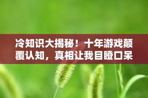 冷知识大揭秘!十年游戏颠覆认知,真相让我目瞪口呆 冷知识大揭秘!十年游戏颠覆认知,真相让我目瞪口呆