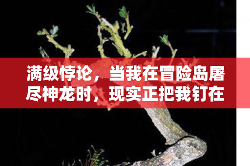 满级悖论，当我在冒险岛屠尽神龙时，现实正把我钉在十字架上灵魂震颤