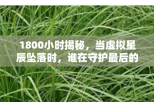 1800小时揭秘,当虚拟星辰坠落时,谁在守护最后的泪目坐标? 1800小时揭秘,当虚拟星辰坠落时,谁在守护最后的泪目坐标?
