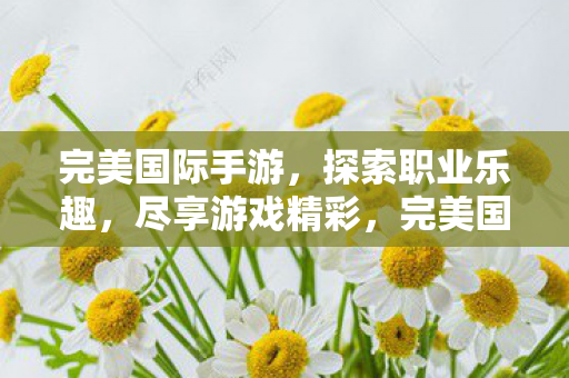 完美国际手游,探索职业乐趣,尽享游戏精彩,完美国际手游,探索职业乐趣,尽享游戏精彩 完美国际手游,探索职业乐趣,尽享游戏精彩,完美国际手游,探索职业乐趣,尽享游戏精彩