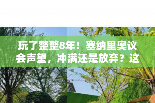 玩了整整8年!塞纳里奥议会声望,冲满还是放弃?这纠结谁懂啊! 玩了整整8年!塞纳里奥议会声望,冲满还是放弃?这纠结谁懂啊!