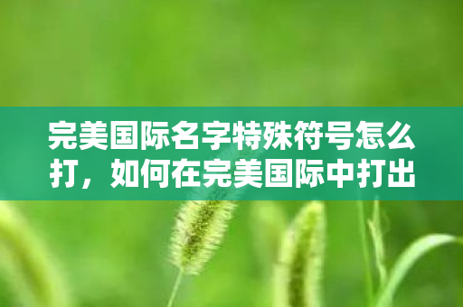 完美国际名字特殊符号怎么打，如何在完美国际中打出特殊符号名字？