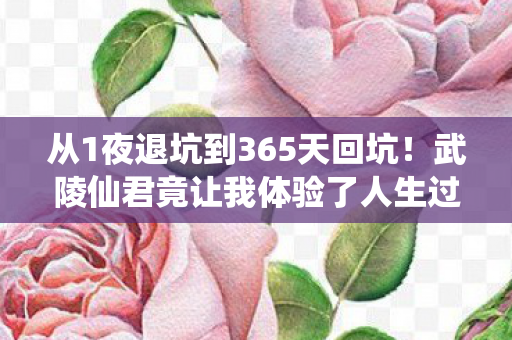 从1夜退坑到365天回坑!武陵仙君竟让我体验了人生过山车? 从1夜退坑到365天回坑!武陵仙君竟让我体验了人生过山车?