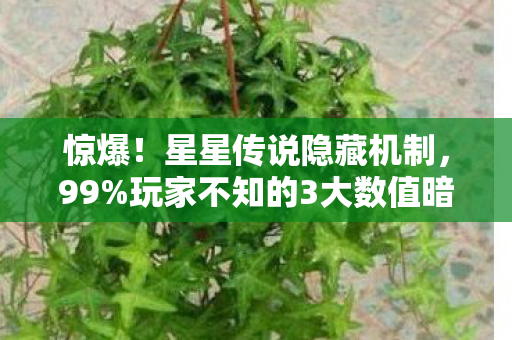 惊爆!星星传说隐藏机制,99%玩家不知的3大数值暗改真相 惊爆!星星传说隐藏机制,99%玩家不知的3大数值暗改真相