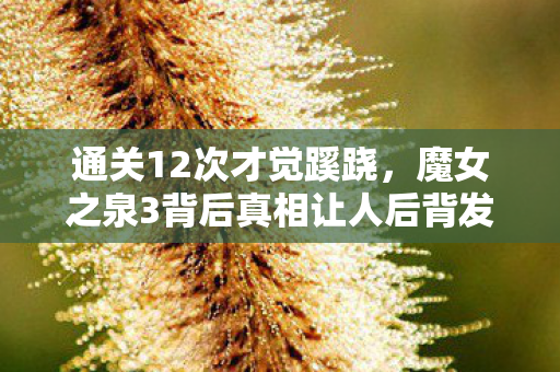 通关12次才觉蹊跷,魔女之泉3背后真相让人后背发凉! 通关12次才觉蹊跷,魔女之泉3背后真相让人后背发凉!