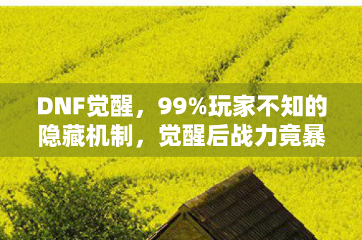 DNF觉醒,99%玩家不知的隐藏机制,觉醒后战力竟暴跌50%? DNF觉醒,99%玩家不知的隐藏机制,觉醒后战力竟暴跌50%?