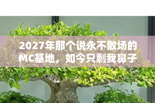 2027年那个说永不散场的MC基地,如今只剩我鼻子一酸守着回忆 2027年那个说永不散场的MC基地,如今只剩我鼻子一酸守着回忆