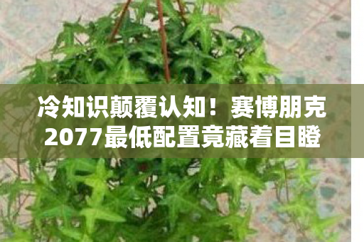 冷知识颠覆认知!赛博朋克2077最低配置竟藏着目瞪口呆的秘密 冷知识颠覆认知!赛博朋克2077最低配置竟藏着目瞪口呆的秘密
