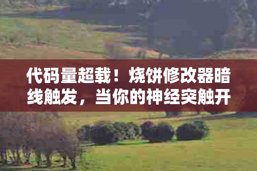 代码量超载!烧饼修改器暗线触发,当你的神经突触开始头皮发麻 代码量超载!烧饼修改器暗线触发,当你的神经突触开始头皮发麻