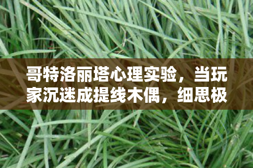 哥特洛丽塔心理实验,当玩家沉迷成提线木偶,细思极恐的神经操控术 哥特洛丽塔心理实验,当玩家沉迷成提线木偶,细思极恐的神经操控术