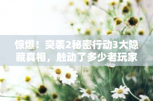 惊爆!突袭2秘密行动3大隐藏真相,触动了多少老玩家的心弦? 惊爆!突袭2秘密行动3大隐藏真相,触动了多少老玩家的心弦?