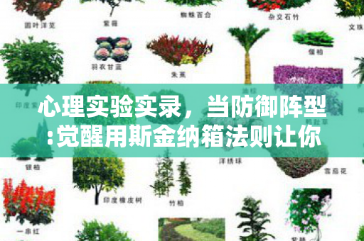 心理实验实录,当防御阵型:觉醒用斯金纳箱法则让你沉迷,细思极恐的神经操控 心理实验实录,当防御阵型:觉醒用斯金纳箱法则让你沉迷,细思极恐的神经操控