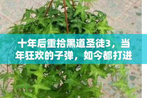 十年后重拾黑道圣徒3，当年狂欢的子弹，如今都打进了谁的命门？