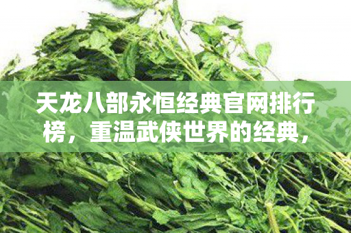 天龙八部永恒经典官网排行榜图片