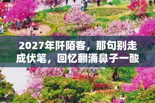 2027年阡陌客,那句别走成伏笔,回忆翻涌鼻子一酸 2027年阡陌客,那句别走成伏笔,回忆翻涌鼻子一酸
