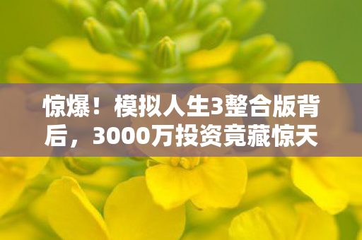 惊爆!模拟人生3整合版背后,3000万投资竟藏惊天隐情,吓你一跳! 惊爆!模拟人生3整合版背后,3000万投资竟藏惊天隐情,吓你一跳!