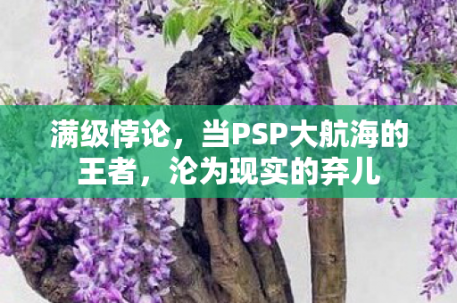 满级悖论,当PSP大航海的王者,沦为现实的弃儿 满级悖论,当PSP大航海的王者,沦为现实的弃儿