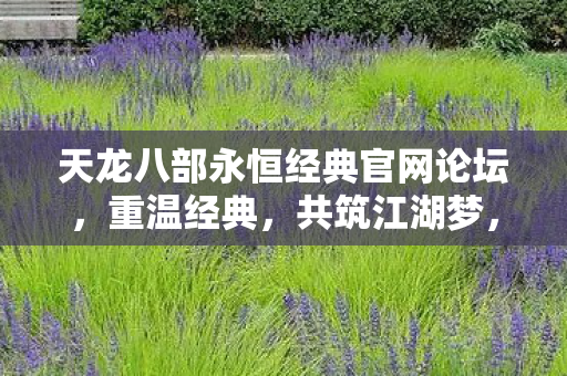 天龙八部永恒经典官网论坛图片