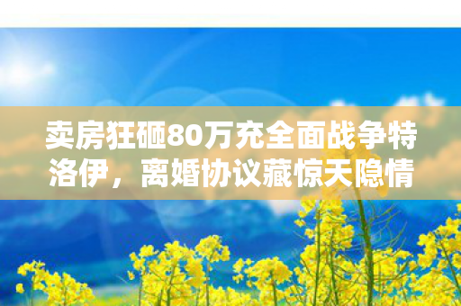 卖房狂砸80万充全面战争特洛伊,离婚协议藏惊天隐情! 卖房狂砸80万充全面战争特洛伊,离婚协议藏惊天隐情!