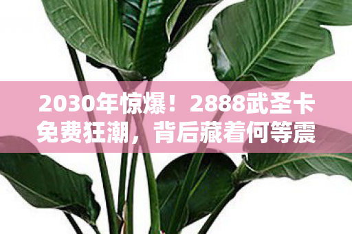 2030年惊爆!2888武圣卡免费狂潮,背后藏着何等震撼秘密? 2030年惊爆!2888武圣卡免费狂潮,背后藏着何等震撼秘密?