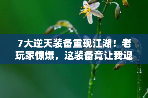 7大逆天装备重现江湖!老玩家惊爆,这装备竟让我退坑又回坑? 7大逆天装备重现江湖!老玩家惊爆,这装备竟让我退坑又回坑?