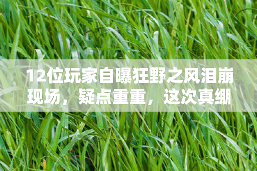 12位玩家自曝狂野之风泪崩现场，疑点重重，这次真绷不住了！