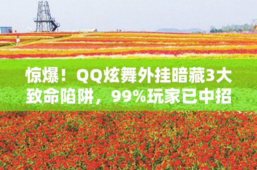 惊爆！QQ炫舞外挂暗藏3大致命陷阱，99%玩家已中招？