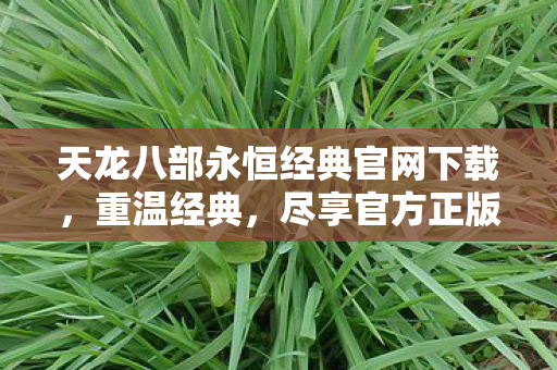天龙八部永恒经典官网下载图片