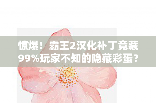 惊爆！霸王2汉化补丁竟藏99%玩家不知的隐藏彩蛋？速看！