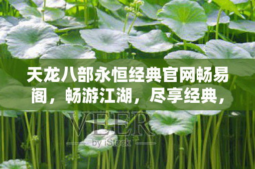 天龙八部永恒经典官网畅易阁图片