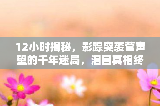 12小时揭秘，影踪突袭营声望的千年迷局，泪目真相终现
