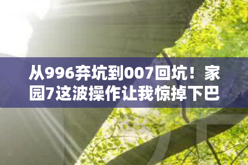 从996弃坑到007回坑!家园7这波操作让我惊掉下巴! 从996弃坑到007回坑!家园7这波操作让我惊掉下巴!