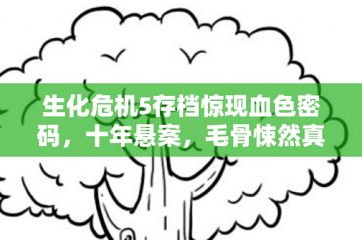 生化危机5存档惊现血色密码，十年悬案，毛骨悚然真相待解