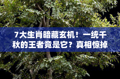 7大生肖暗藏玄机!一统千秋的王者竟是它?真相惊掉下巴! 7大生肖暗藏玄机!一统千秋的王者竟是它?真相惊掉下巴!