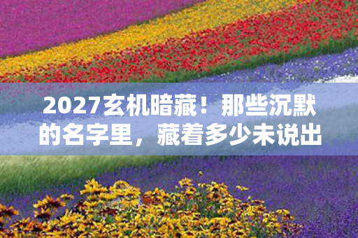 2027玄机暗藏!那些沉默的名字里,藏着多少未说出口的人生? 2027玄机暗藏!那些沉默的名字里,藏着多少未说出口的人生?